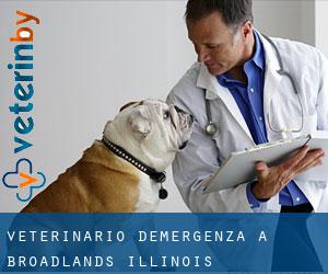 Veterinario d'Emergenza a Broadlands (Illinois)
