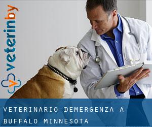 Veterinario d'Emergenza a Buffalo (Minnesota)