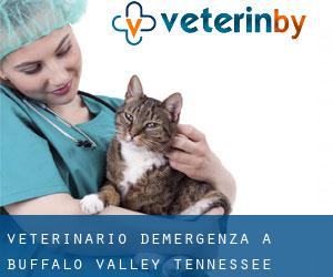 Veterinario d'Emergenza a Buffalo Valley (Tennessee)