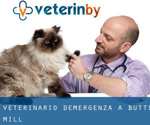 Veterinario d'Emergenza a Butts Mill