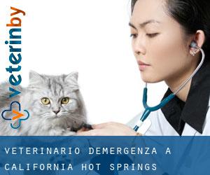 Veterinario d'Emergenza a California Hot Springs