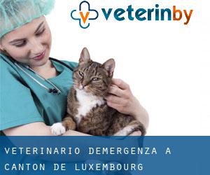 Veterinario d'Emergenza a Canton de Luxembourg