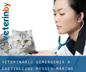 Veterinario d'Emergenza a Castiglione Messer Marino