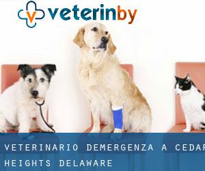 Veterinario d'Emergenza a Cedar Heights (Delaware)