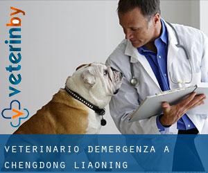 Veterinario d'Emergenza a Chengdong (Liaoning)