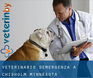Veterinario d'Emergenza a Chisholm (Minnesota)
