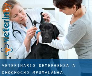 Veterinario d'Emergenza a Chochocho (Mpumalanga)