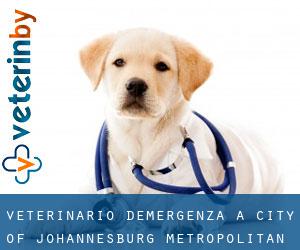 Veterinario d'Emergenza a City of Johannesburg Metropolitan Municipality
