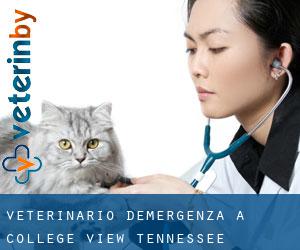 Veterinario d'Emergenza a College View (Tennessee)