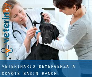 Veterinario d'Emergenza a Coyote Basin Ranch