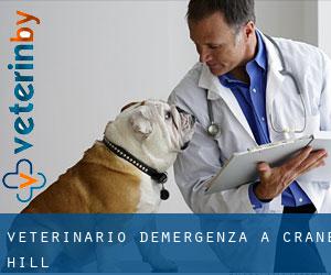 Veterinario d'Emergenza a Crane Hill