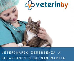 Veterinario d'Emergenza a Departamento de San Martín