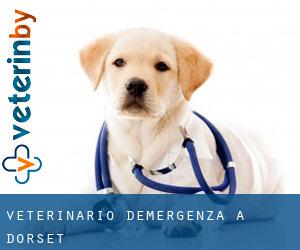 Veterinario d'Emergenza a Dorset Veterinario d'Emergenza a Dorset