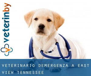 Veterinario d'Emergenza a East View (Tennessee)