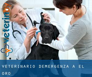 Veterinario d'Emergenza a El Oro Veterinario d'Emergenza a El Oro