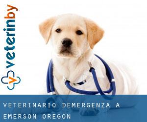 Veterinario d'Emergenza a Emerson (Oregon)