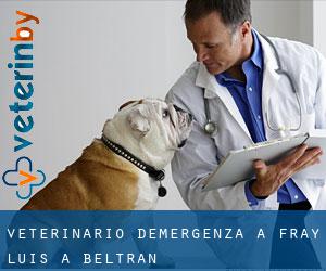 Veterinario d'Emergenza a Fray Luis A. Beltrán