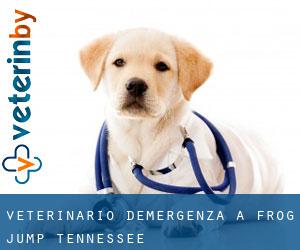 Veterinario d'Emergenza a Frog Jump (Tennessee)