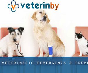 Veterinario d'Emergenza a Frome Veterinario d'Emergenza a Frome