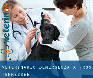 Veterinario d'Emergenza a Frost (Tennessee)