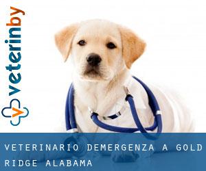Veterinario d'Emergenza a Gold Ridge (Alabama) Veterinario d'Emergenza a Gold Ridge (Alabama)
