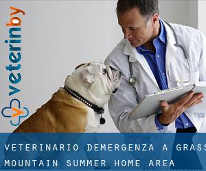 Veterinario d'Emergenza a Grass Mountain Summer Home Area