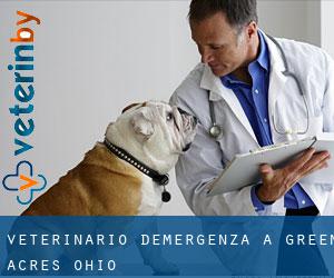 Veterinario d'Emergenza a Green Acres (Ohio)