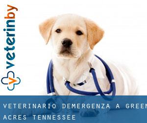 Veterinario d'Emergenza a Green Acres (Tennessee)