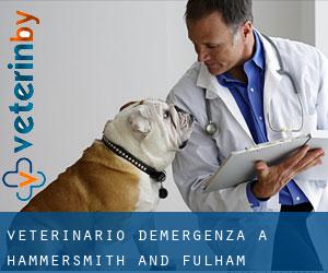 Veterinario d'Emergenza a Hammersmith and Fulham