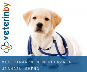 Veterinario d'Emergenza a Jiangsu Sheng Veterinario d'Emergenza a Jiangsu Sheng