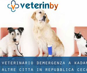 Veterinario d'Emergenza a Kadaň (Altre città in Repubblica Ceca)