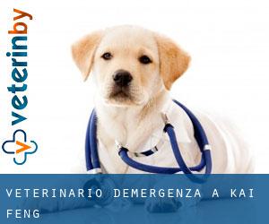 Veterinario d'Emergenza a Kai Feng Veterinario d'Emergenza a Kai Feng