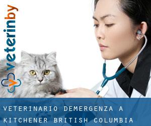 Veterinario d'Emergenza a Kitchener (British Columbia)