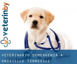 Veterinario d'Emergenza a Knoxville (Tennessee)
