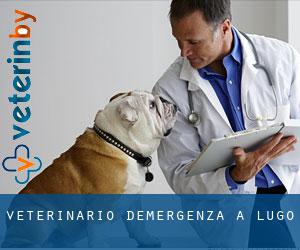 Veterinario d'Emergenza a Lugo