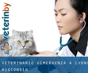 Veterinario d'Emergenza a Lyons (Wisconsin)