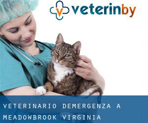 Veterinario d'Emergenza a Meadowbrook (Virginia Occidentale)