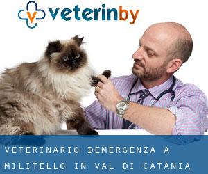 Veterinario d'Emergenza a Militello in Val di Catania