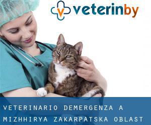 Veterinario d'Emergenza a Mizhhir'ya (Zakarpats’ka Oblast’)