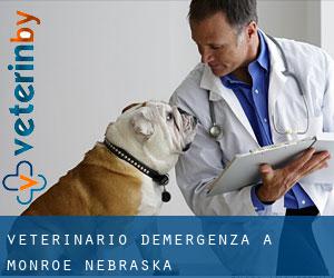 Veterinario d'Emergenza a Monroe (Nebraska)
