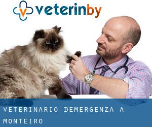 Veterinario d'Emergenza a Monteiro