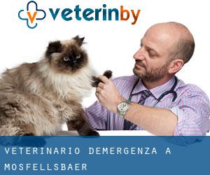 Veterinario d'Emergenza a Mosfellsbær