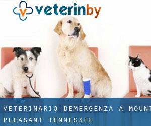 Veterinario d'Emergenza a Mount Pleasant (Tennessee)