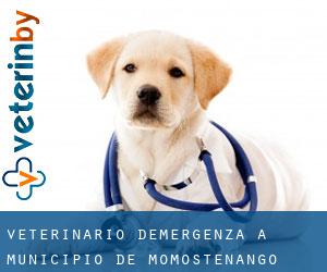 Veterinario d'Emergenza a Municipio de Momostenango