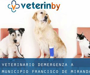 Veterinario d'Emergenza a Municipio Francisco de Miranda (Guárico)