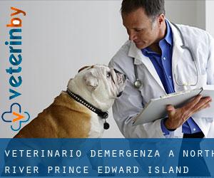 Veterinario d'Emergenza a North River (Prince Edward Island)