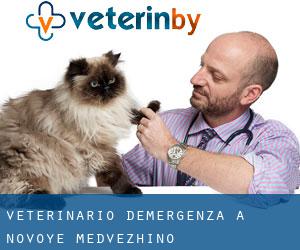 Veterinario d'Emergenza a Novoye Medvezhino