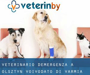 Veterinario d'Emergenza a Olsztyn (Voivodato di Varmia-Masuria)