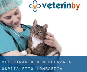 Veterinario d'Emergenza a Ospitaletto (Lombardia)