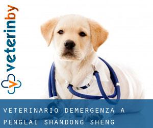 Veterinario d'Emergenza a Penglai (Shandong Sheng) Veterinario d'Emergenza a Penglai (Shandong Sheng)